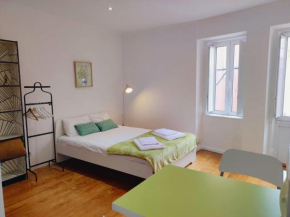 Eco Green Studio Apartment